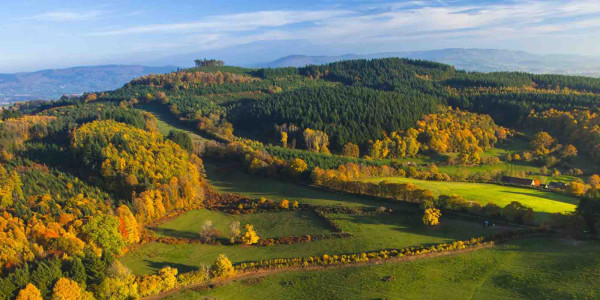 Isabelle de la Nièvre : notre guide local Ekoya