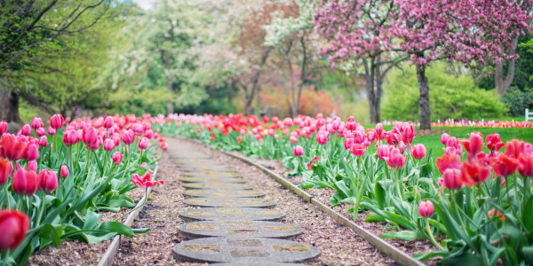 Jardinage, tout se joue en mars !