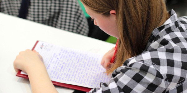 Perles du brevet et du bac, excellent millésime !