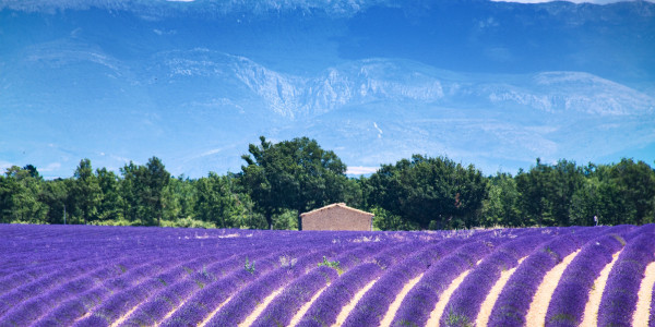 Les plus beaux endroits à visiter en France !