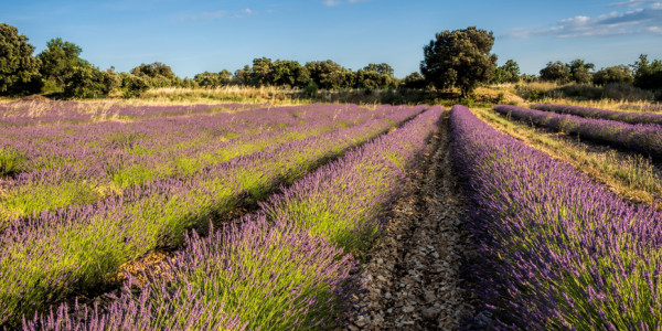 7 activités incontournables en Languedoc-Roussillon